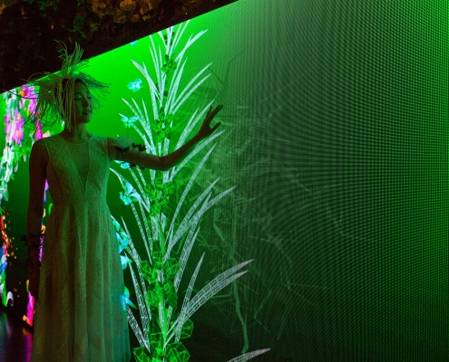 Perrier Jouet Profirst Studio Poulanges